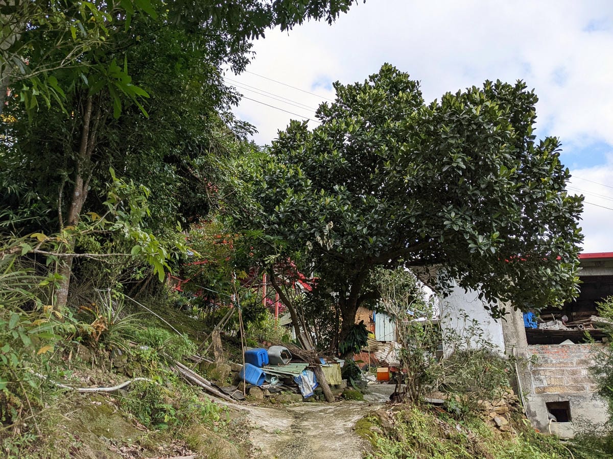 淡蘭古道南路北段 地圖沒有的福德坑大坑外股古道通往深坑