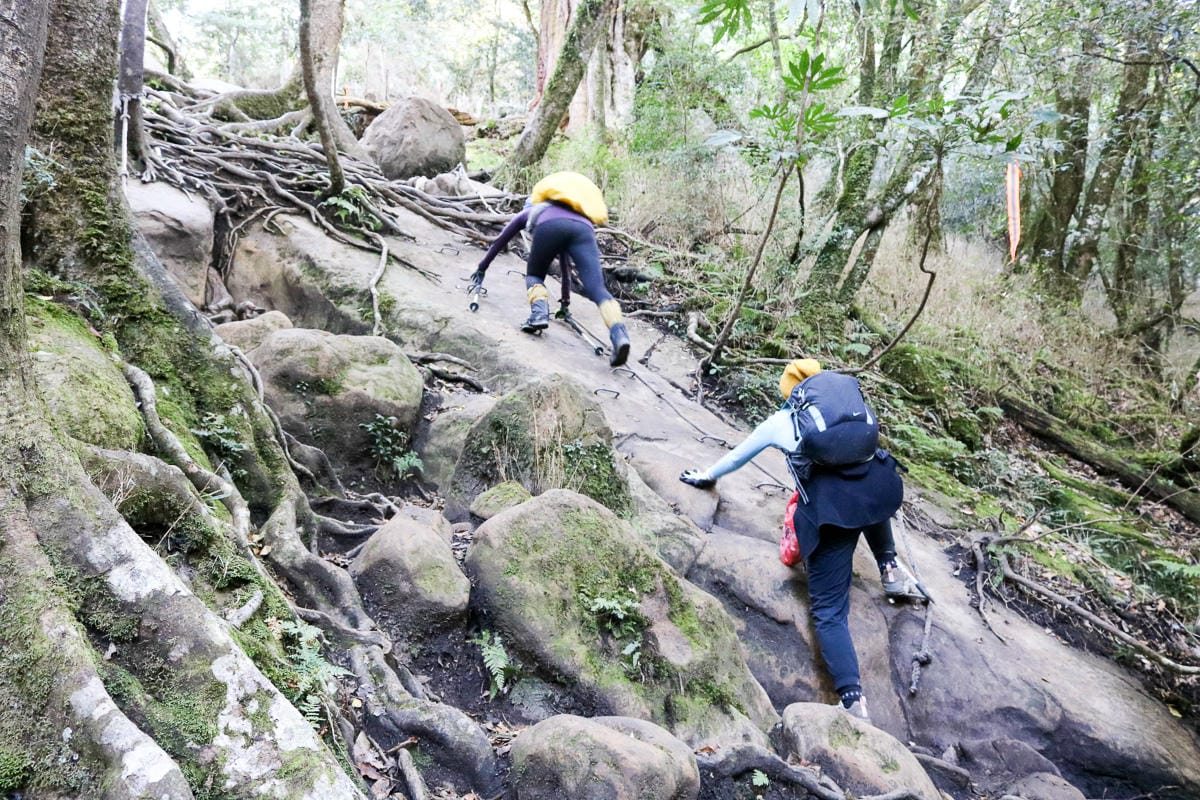 苗栗南庄加里山美食 食園農園餐廳道地客家手藝現點現做辣椒王道 - 第4張圖 苗栗南庄加里山美食 食園農園餐廳道地客家手藝現點現做辣椒王道