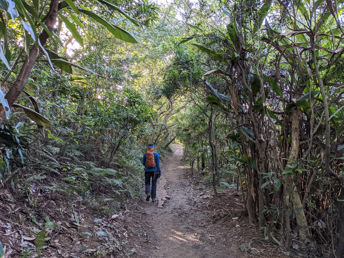 台北大縱走南區茶香段 南港山縱走步道捷運麟光到中華科技大學