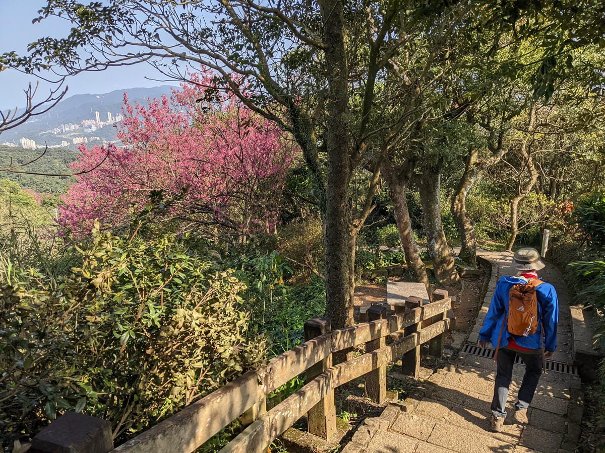 台北大縱走南區茶香段 南港山縱走步道捷運麟光到中華科技大學