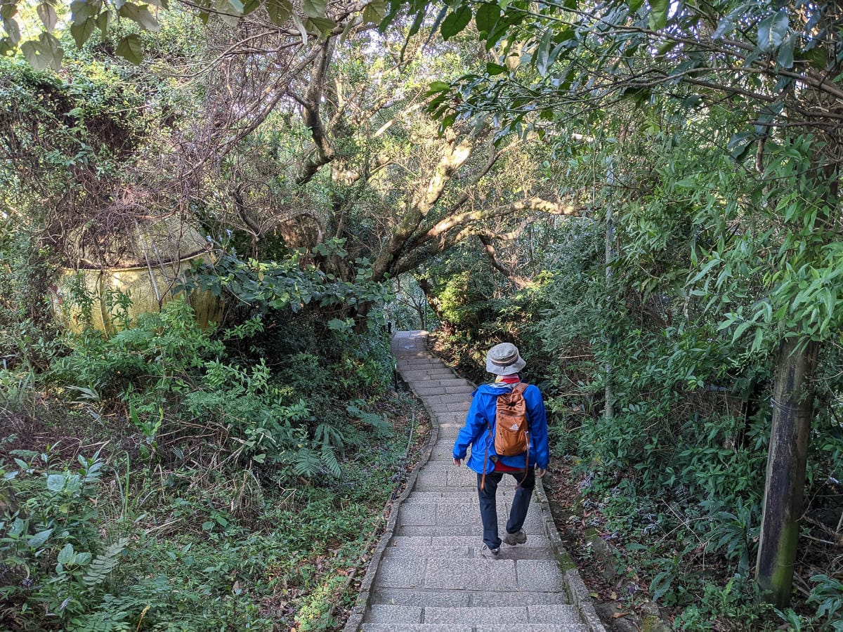 台北大縱走南區茶香段 南港山縱走步道捷運麟光到中華科技大學
