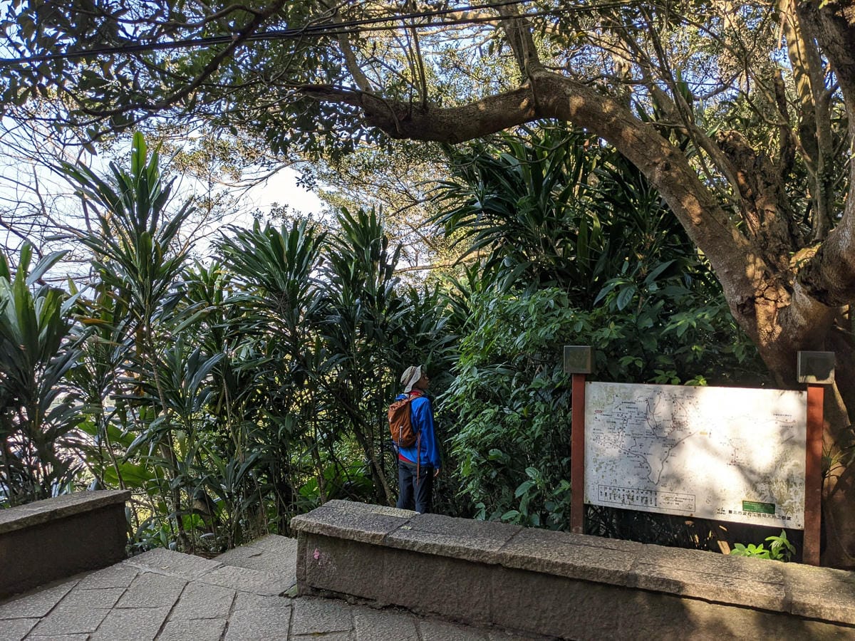 台北大縱走南區茶香段 南港山縱走步道捷運麟光到中華科技大學