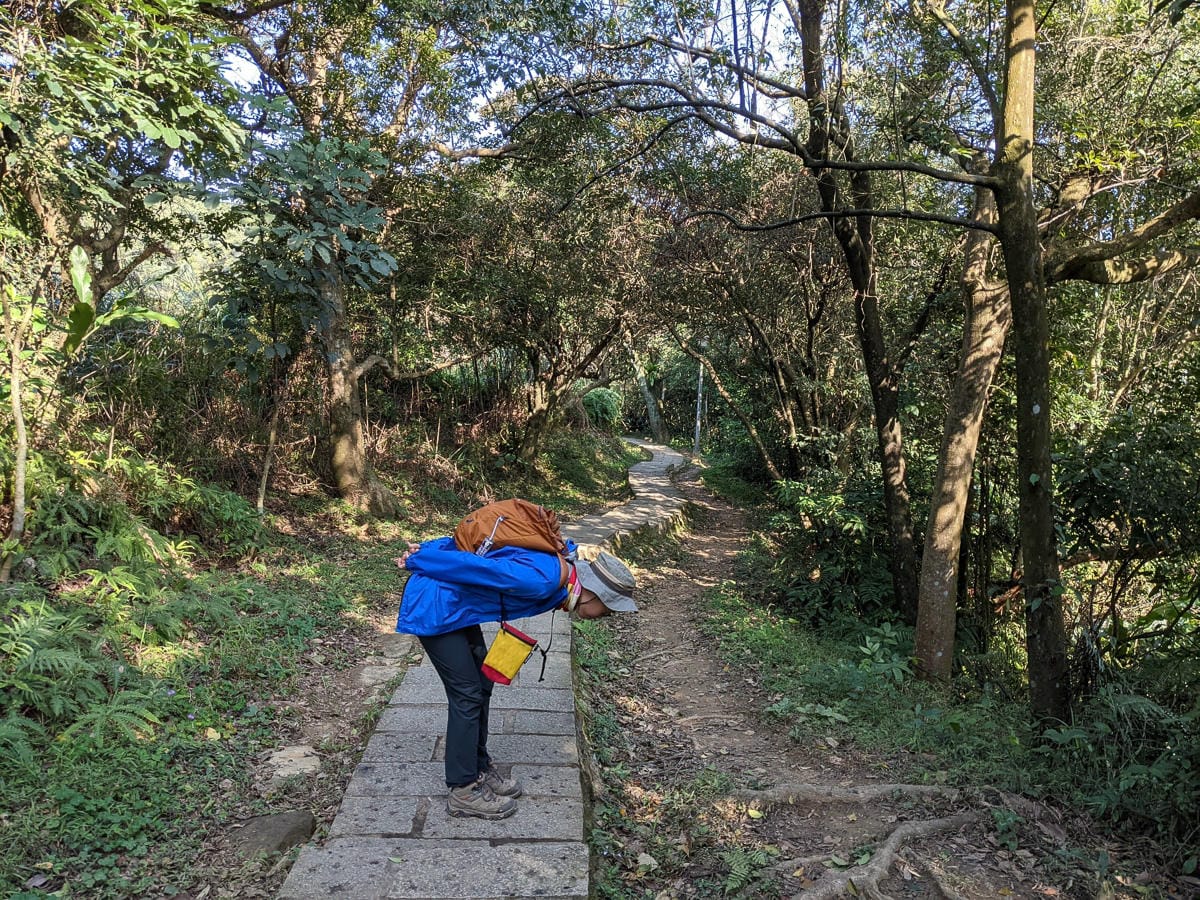 台北大縱走南區茶香段 南港山縱走步道捷運麟光到中華科技大學