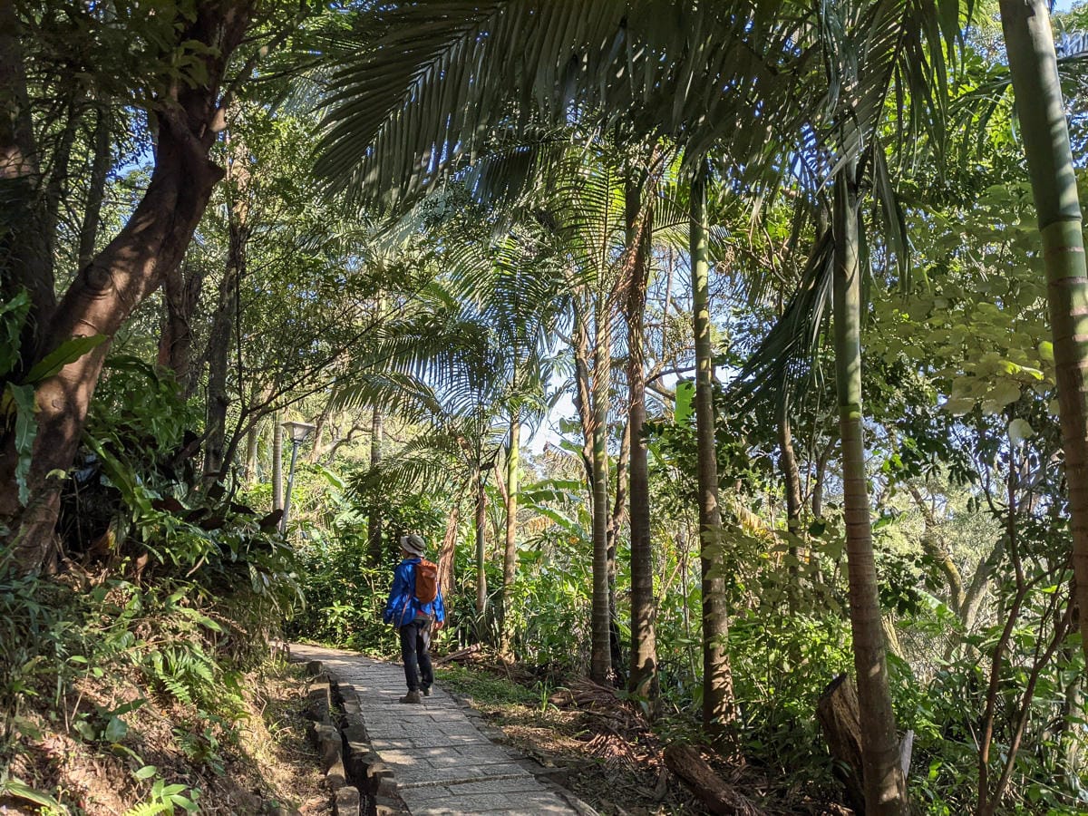 台北大縱走南區茶香段 南港山縱走步道捷運麟光到中華科技大學