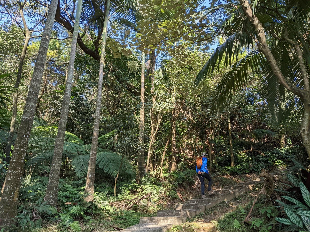台北大縱走南區茶香段 南港山縱走步道捷運麟光到中華科技大學