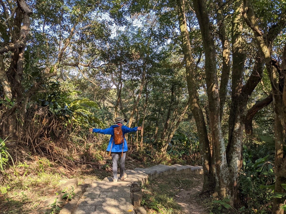 台北大縱走南區茶香段 南港山縱走步道捷運麟光到中華科技大學