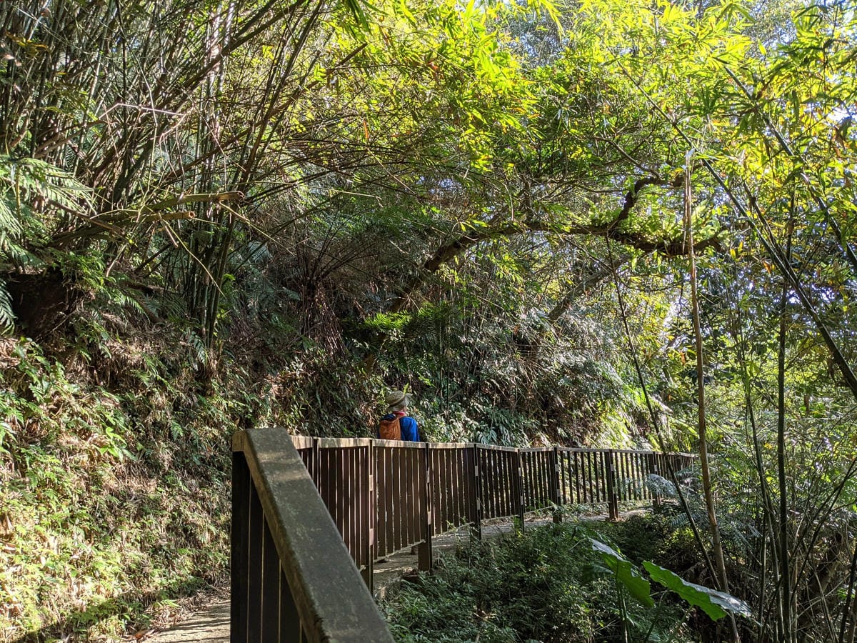 台北大縱走南區茶香段 南港山縱走步道捷運麟光到中華科技大學