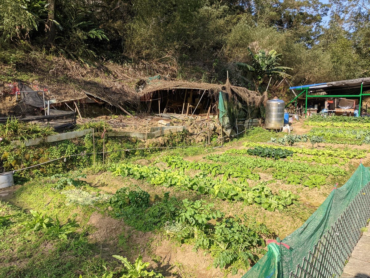台北大縱走南區茶香段 南港山縱走步道捷運麟光到中華科技大學