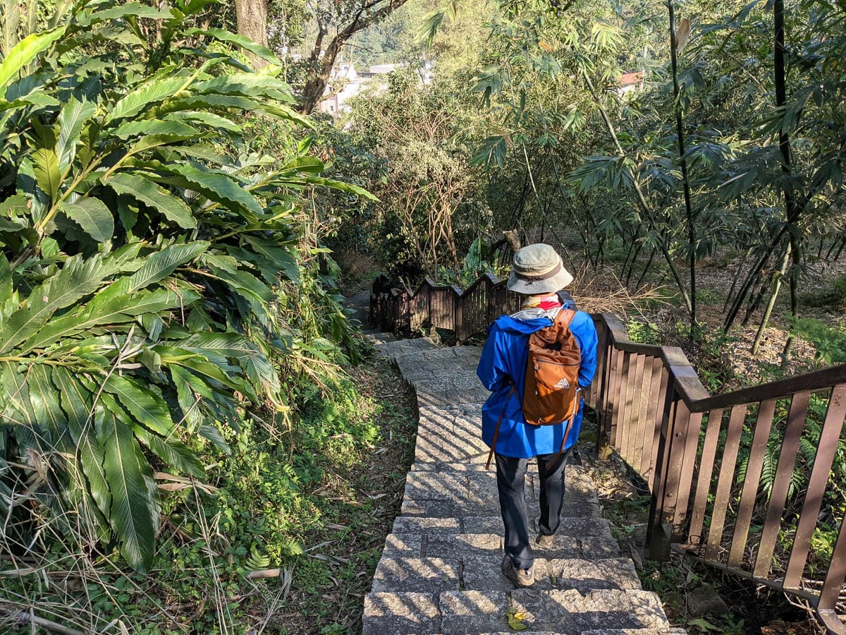 台北大縱走南區茶香段 南港山縱走步道捷運麟光到中華科技大學