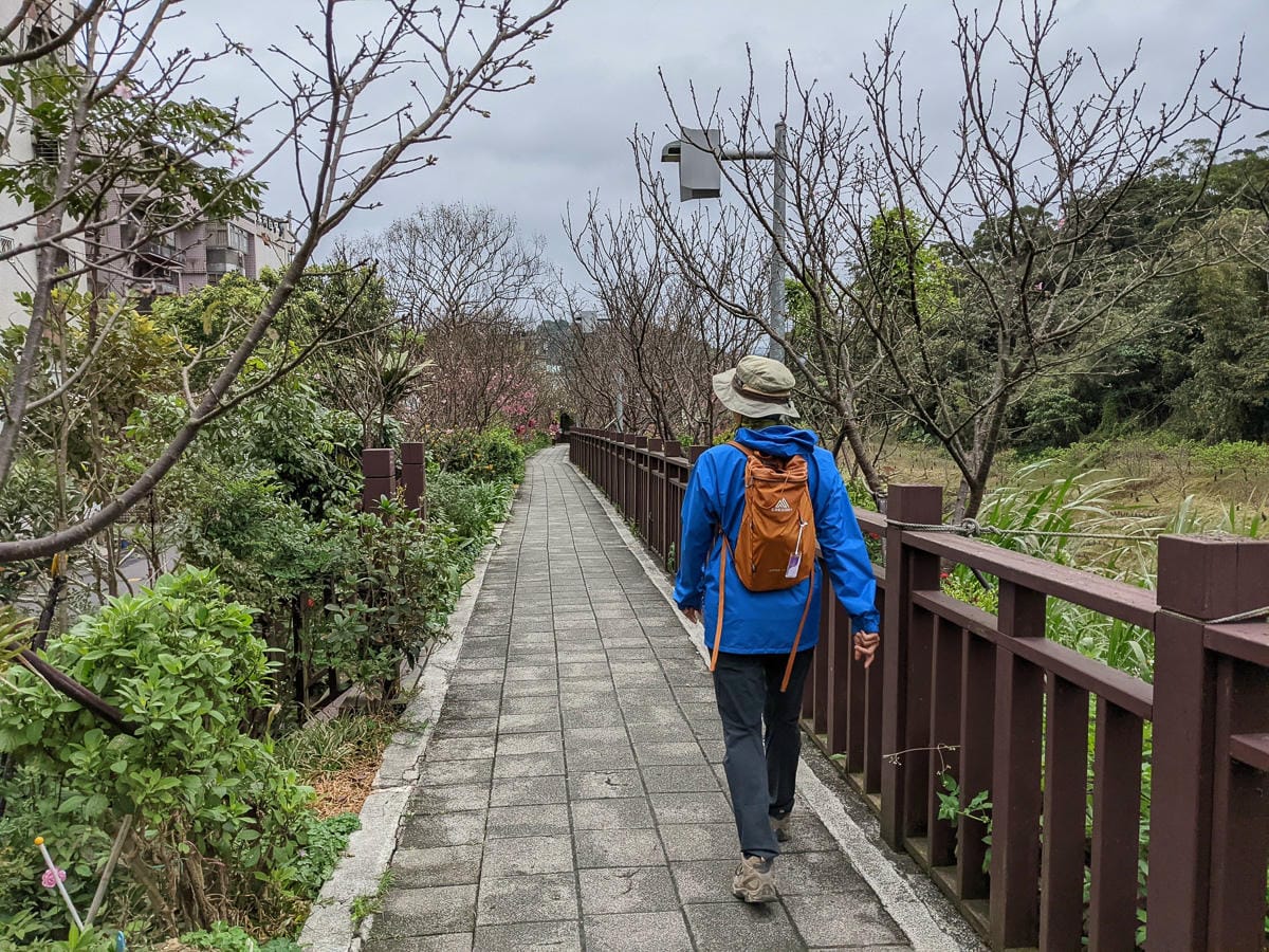 樂活公園追櫻花 康樂山明舉山原始土路新手推薦台北冬天爬山路線