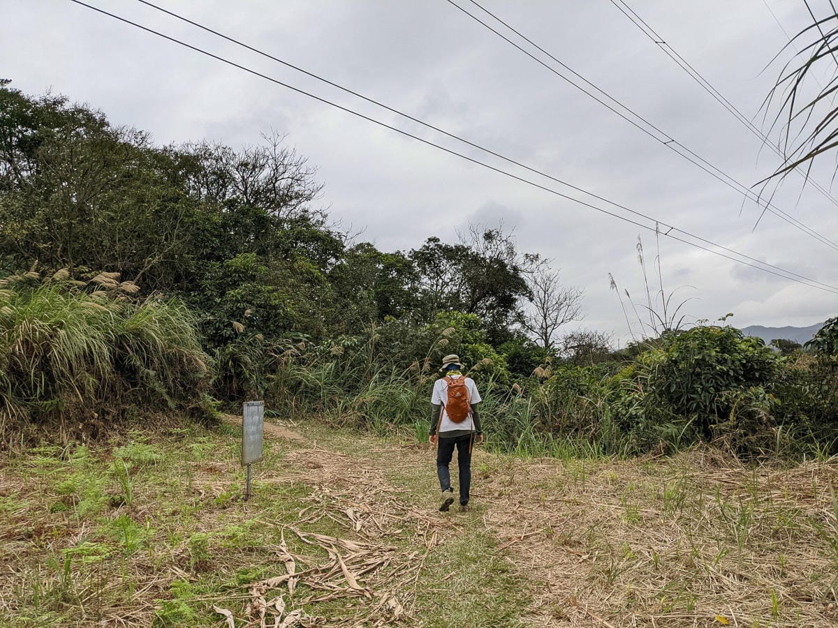 樂活公園追櫻花 康樂山明舉山原始土路新手推薦台北冬天爬山路線
