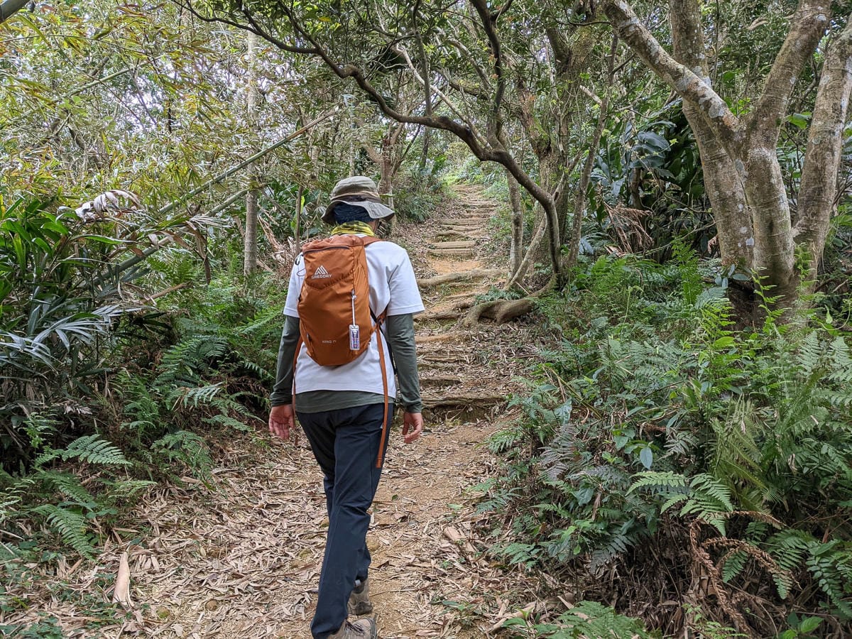 樂活公園追櫻花 康樂山明舉山原始土路新手推薦台北冬天爬山路線