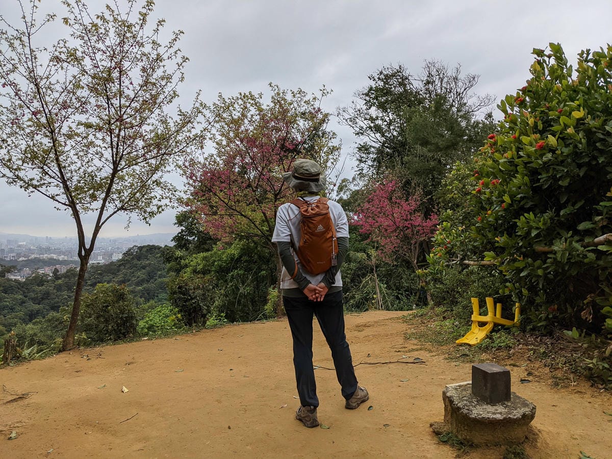 樂活公園追櫻花 康樂山明舉山原始土路新手推薦台北冬天爬山路線