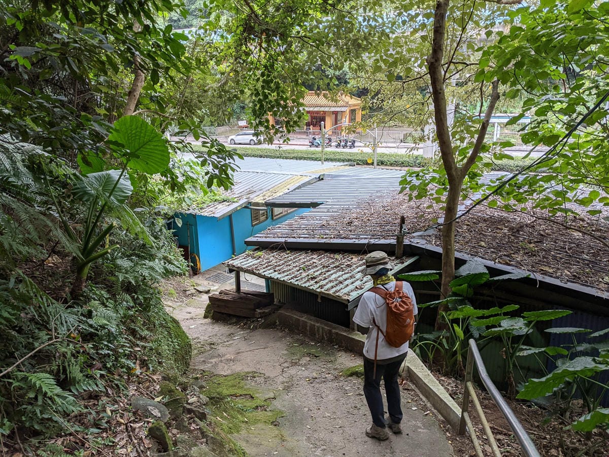 樂活公園追櫻花 康樂山明舉山原始土路新手推薦台北冬天爬山路線