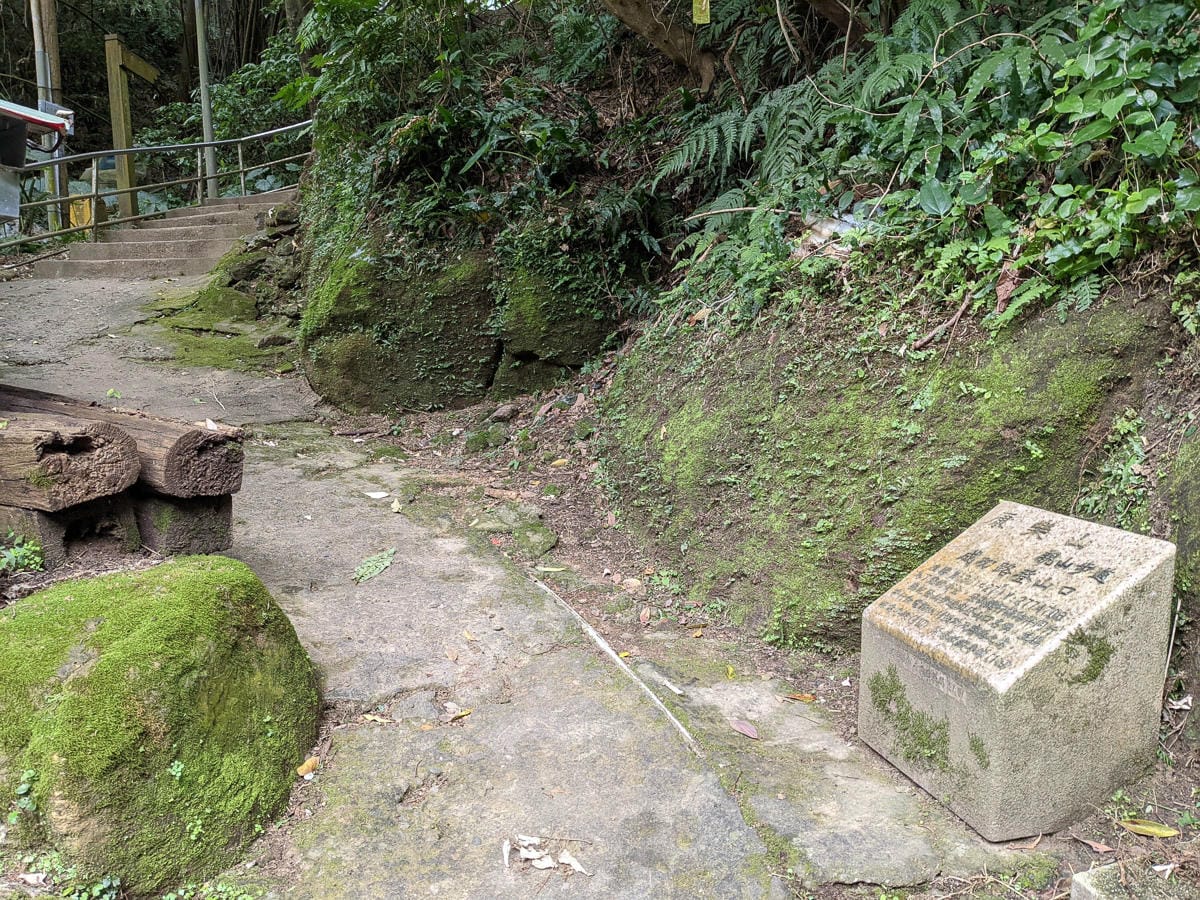 樂活公園追櫻花 康樂山明舉山原始土路新手推薦台北冬天爬山路線
