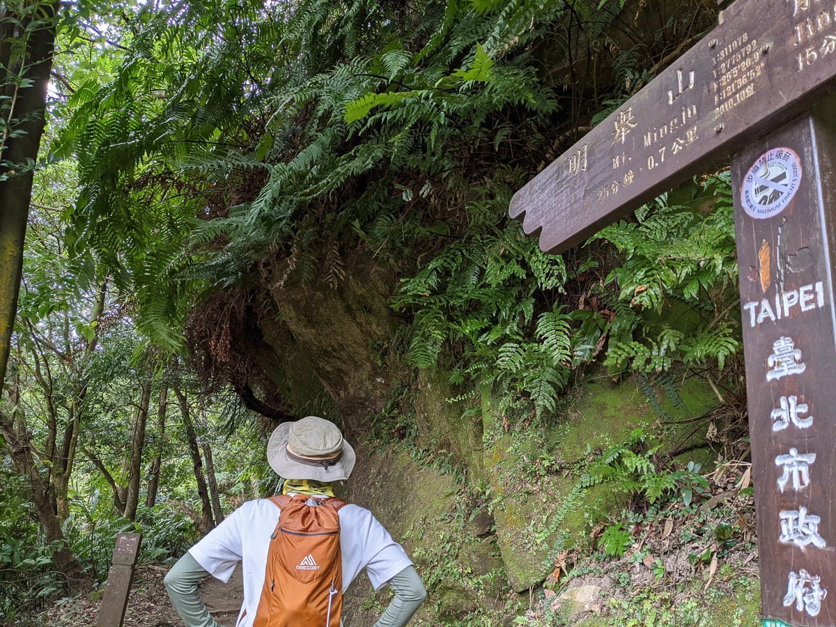 樂活公園追櫻花 康樂山明舉山原始土路新手推薦台北冬天爬山路線