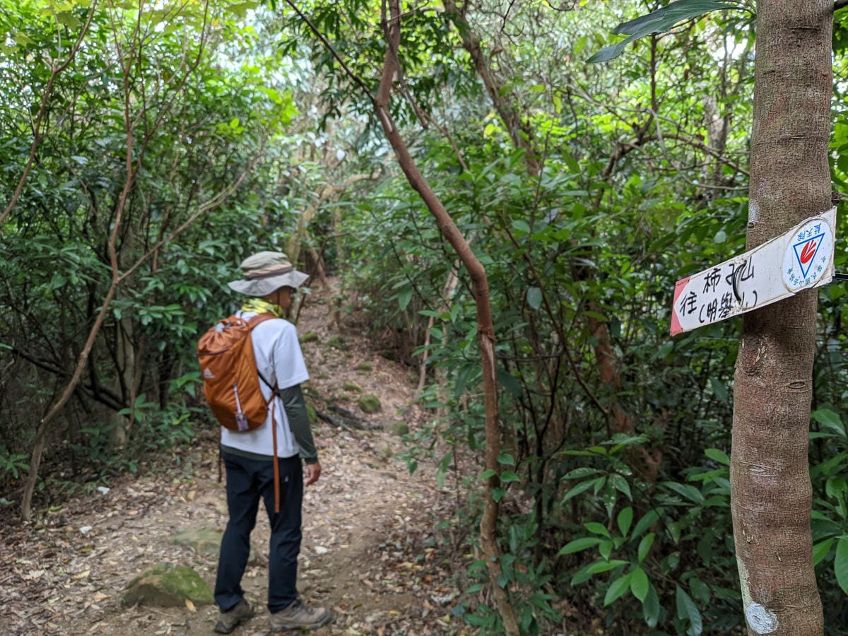 樂活公園追櫻花 康樂山明舉山原始土路新手推薦台北冬天爬山路線