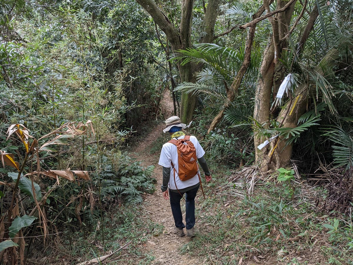 樂活公園追櫻花 康樂山明舉山原始土路新手推薦台北冬天爬山路線