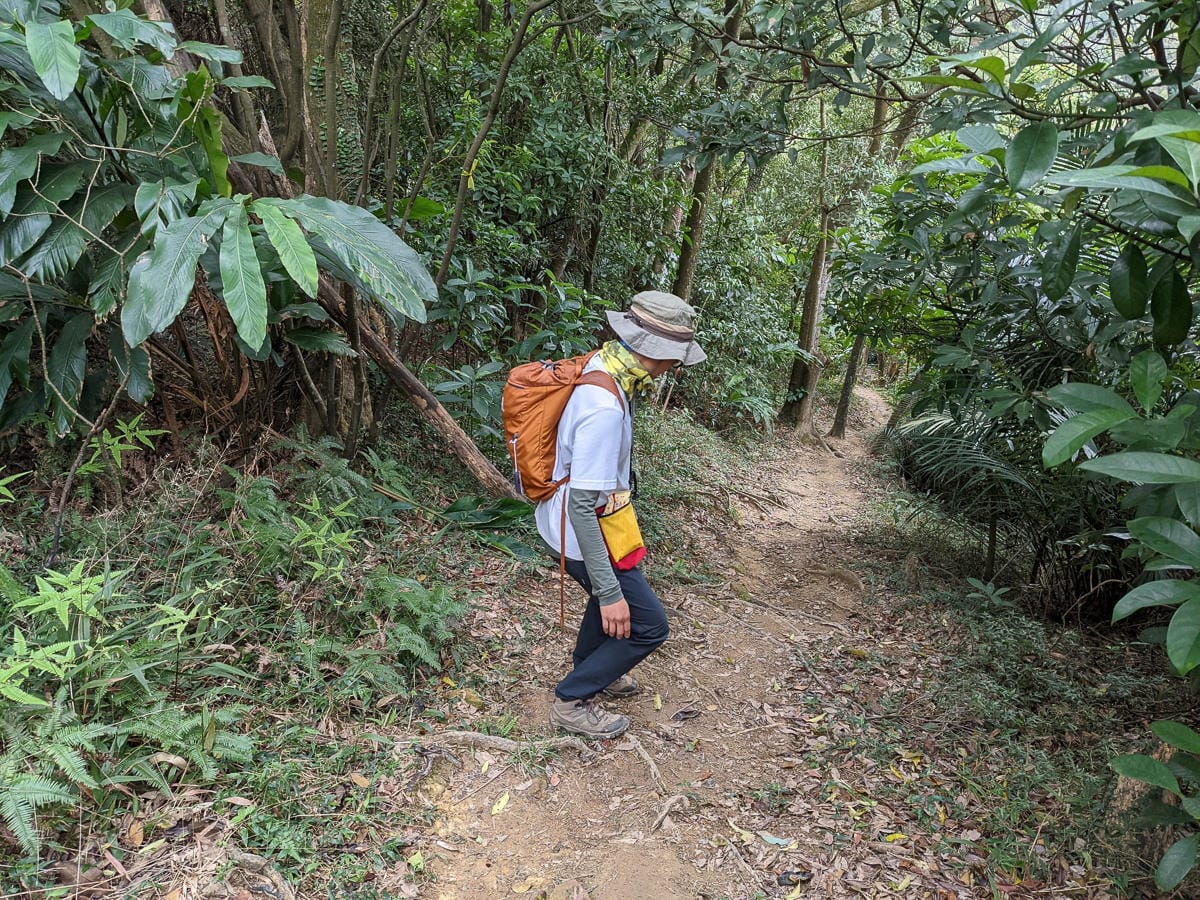 樂活公園追櫻花 康樂山明舉山原始土路新手推薦台北冬天爬山路線