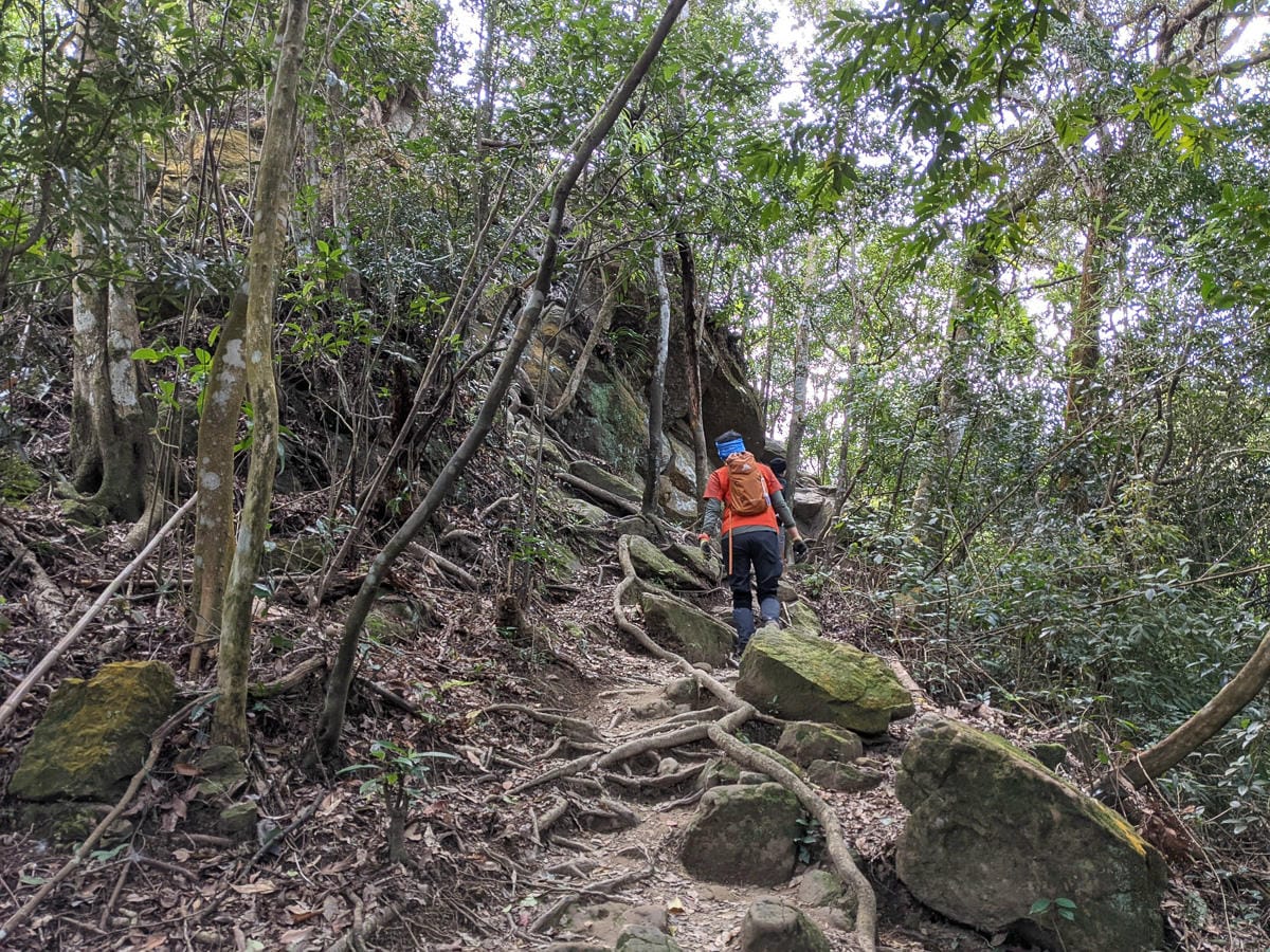 三峽五寮尖 刺激驚險爬山路線 峭壁雄峰拉繩垂降的體力活