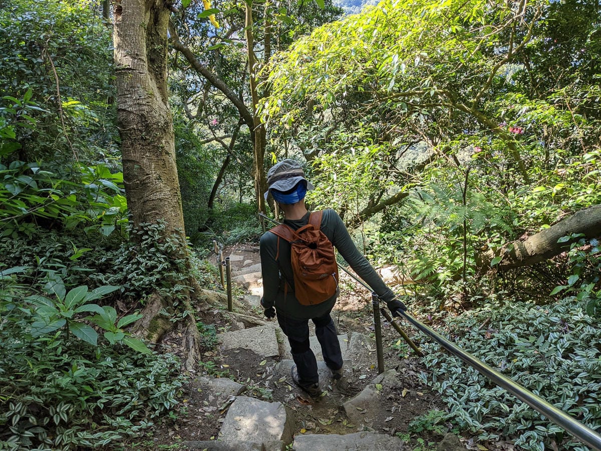 南港山攀岩步道 挑戰驚心動魄戶外攀爬場需要體能還要腦袋