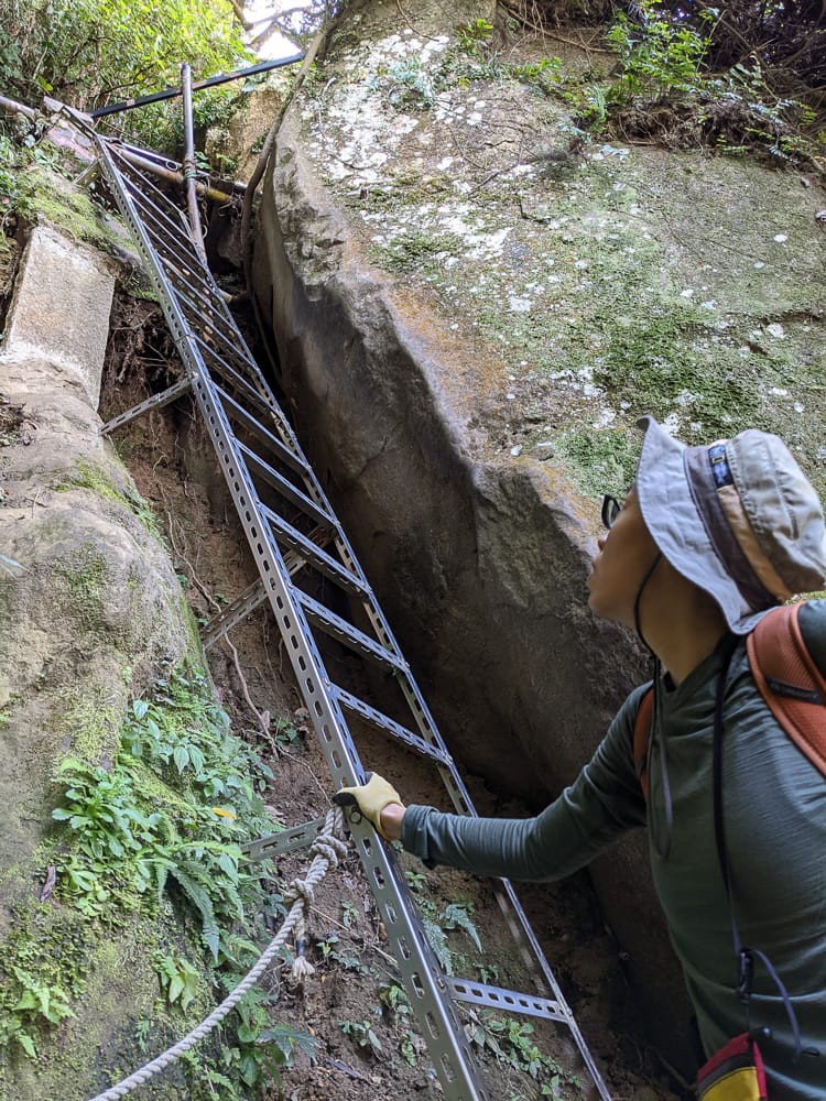 南港山攀岩步道 挑戰驚心動魄戶外攀爬場需要體能還要腦袋