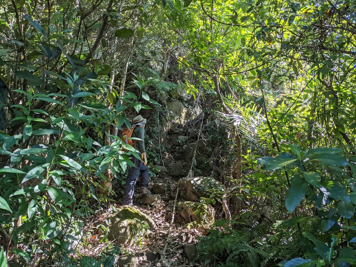 南港山攀岩步道 挑戰驚心動魄戶外攀爬場需要體能還要腦袋