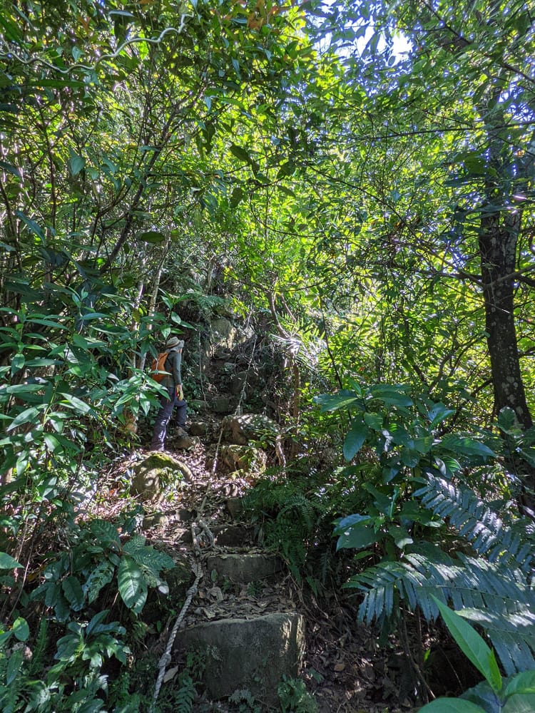 南港山攀岩步道 挑戰驚心動魄戶外攀爬場需要體能還要腦袋