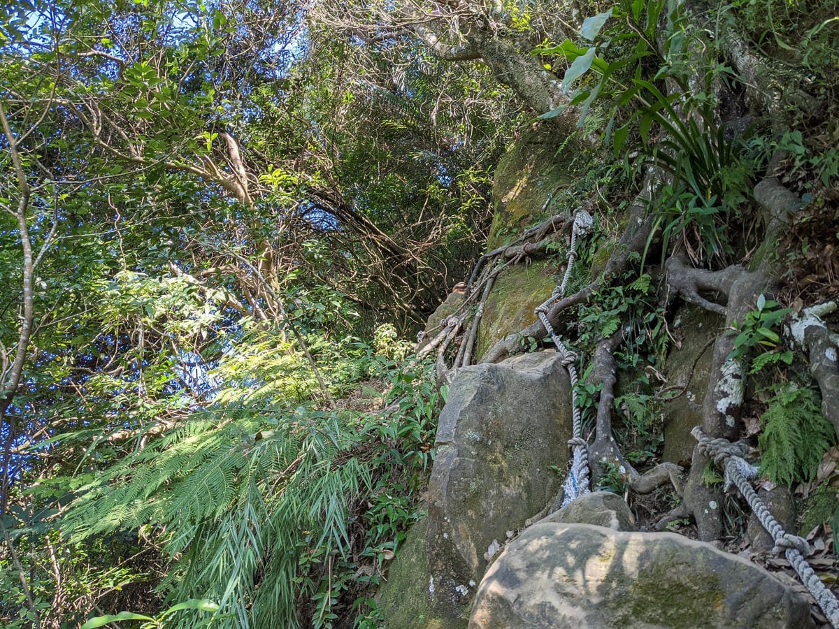 南港山攀岩步道 挑戰驚心動魄戶外攀爬場需要體能還要腦袋