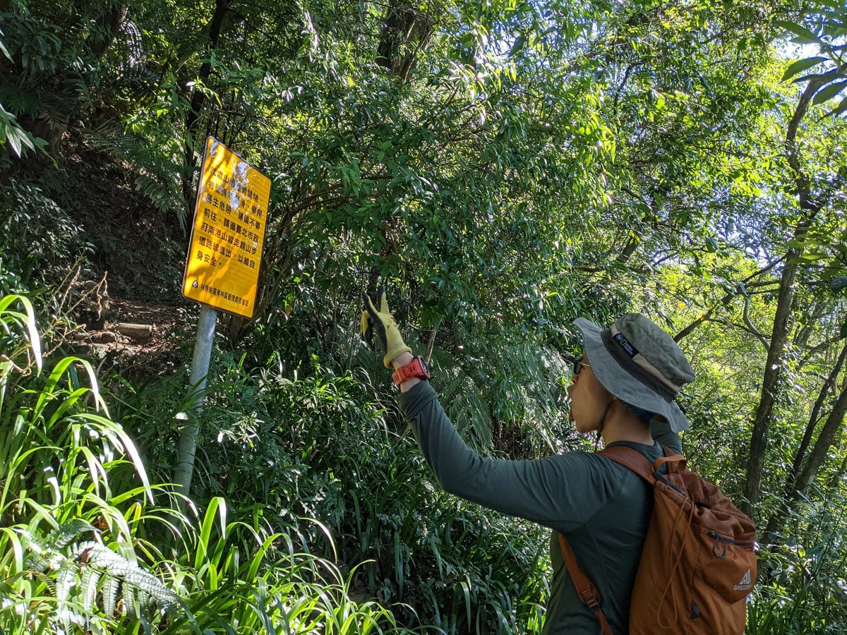 南港山攀岩步道 挑戰驚心動魄戶外攀爬場需要體能還要腦袋
