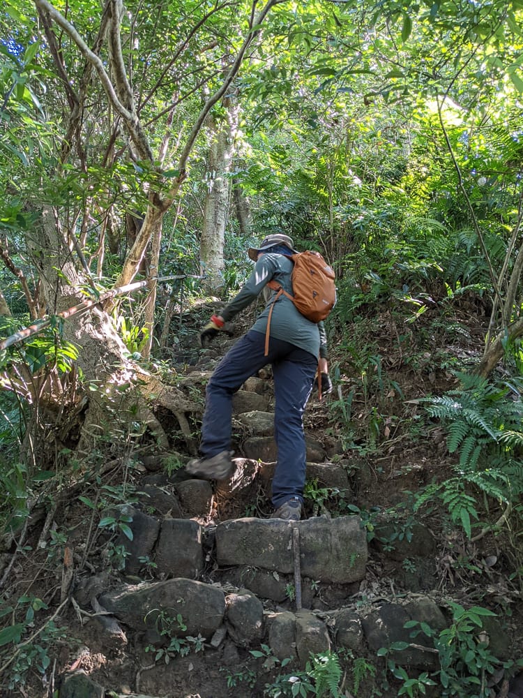 南港山攀岩步道 挑戰驚心動魄戶外攀爬場需要體能還要腦袋