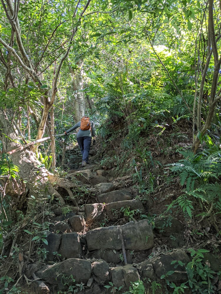 南港山攀岩步道 挑戰驚心動魄戶外攀爬場需要體能還要腦袋