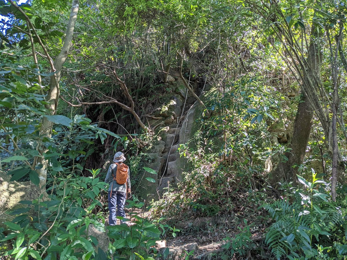 南港山攀岩步道 挑戰驚心動魄戶外攀爬場需要體能還要腦袋