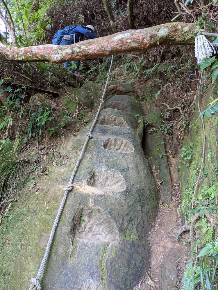 南港山攀岩步道 挑戰驚心動魄戶外攀爬場需要體能還要腦袋