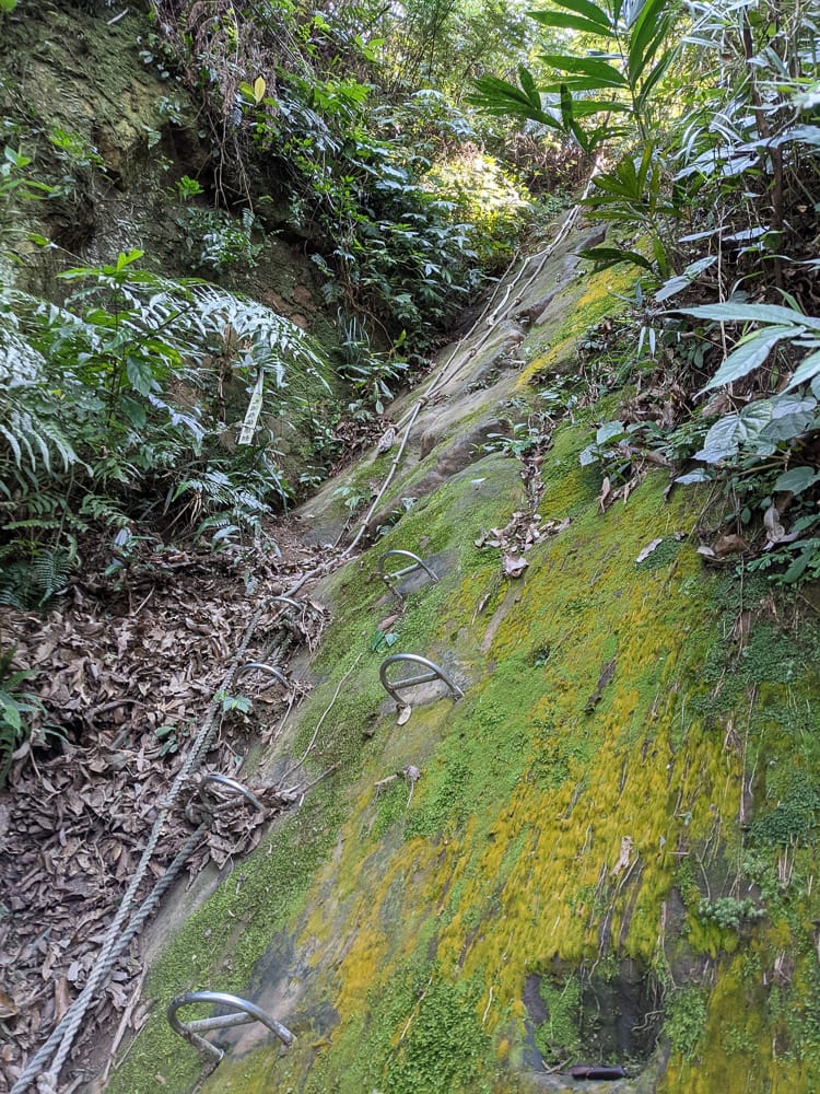 南港山攀岩步道 挑戰驚心動魄戶外攀爬場需要體能還要腦袋