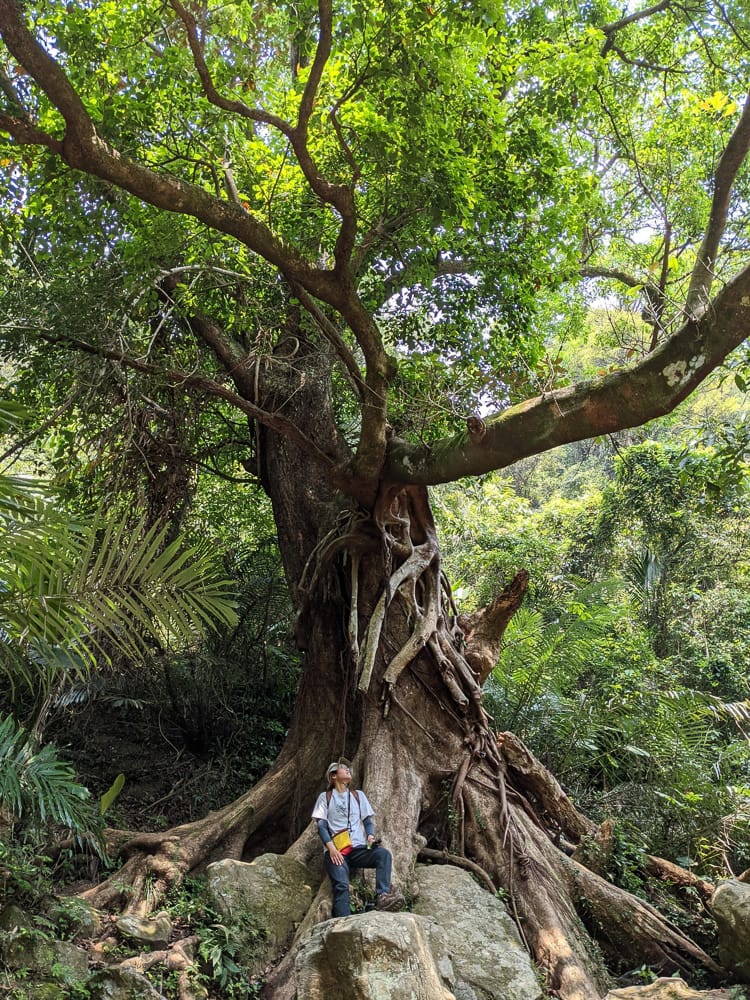 三峽五寮尖 刺激驚險爬山路線 峭壁雄峰拉繩垂降的體力活