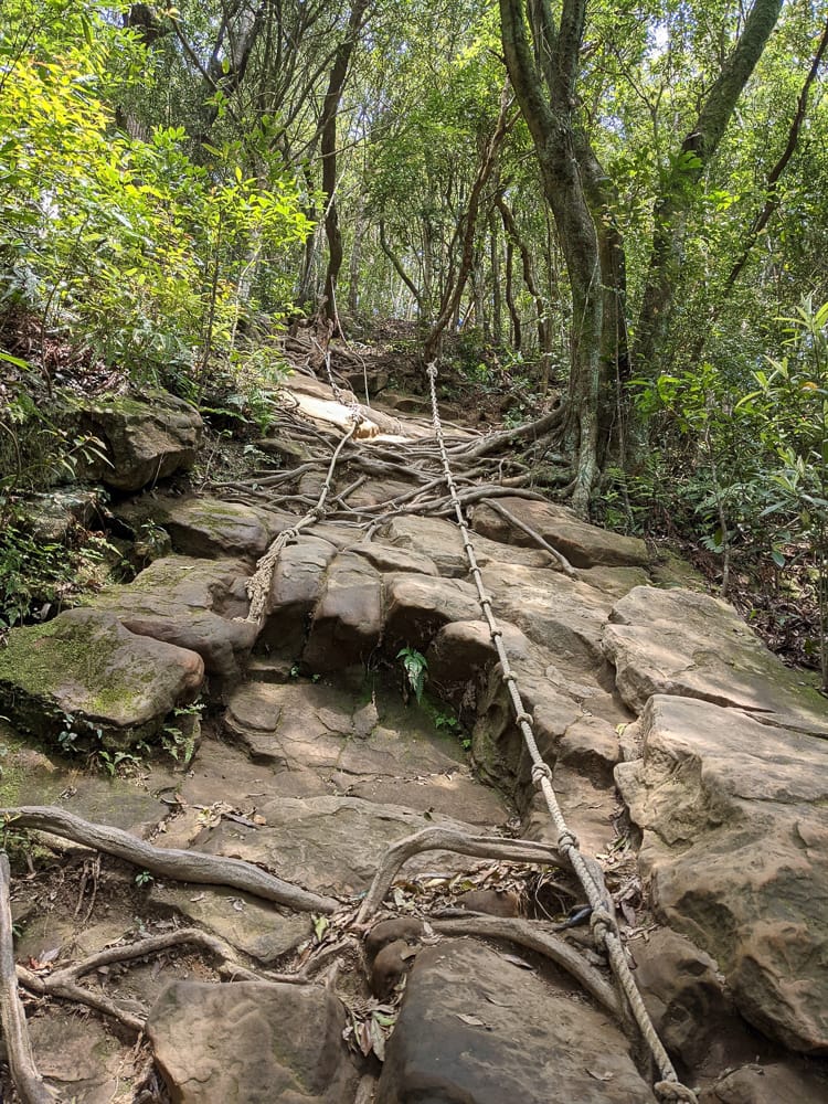 三峽五寮尖 刺激驚險爬山路線 峭壁雄峰拉繩垂降的體力活