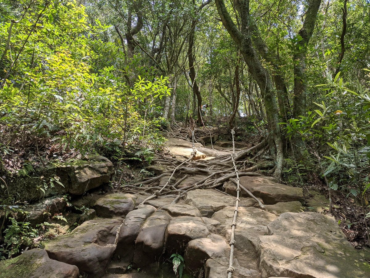 三峽五寮尖 刺激驚險爬山路線 峭壁雄峰拉繩垂降的體力活