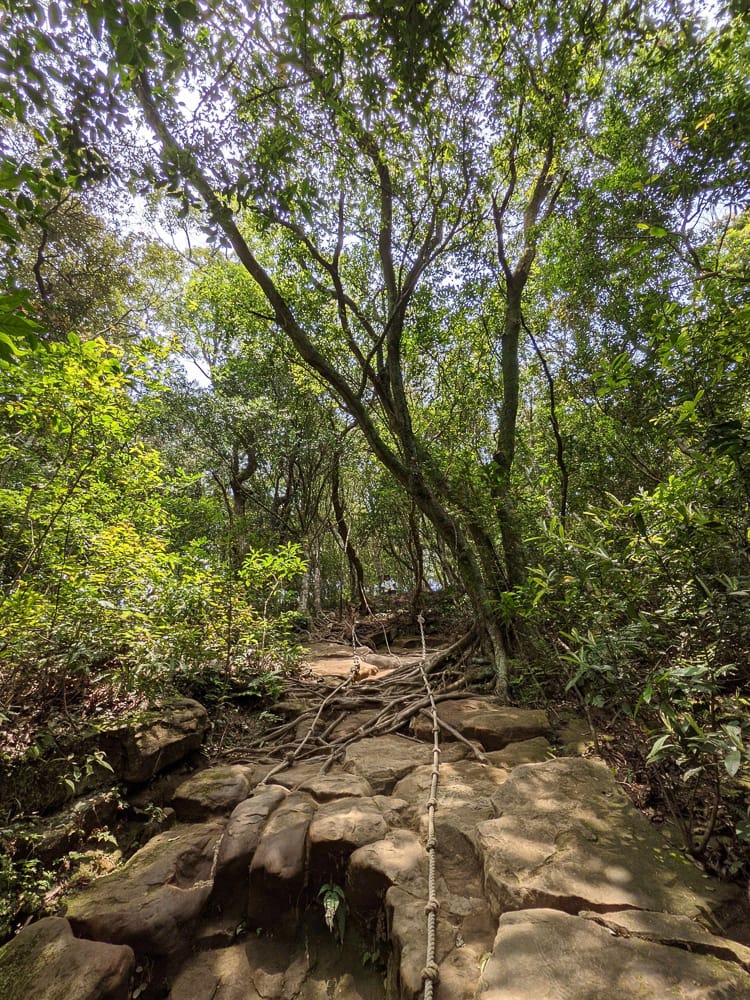 三峽五寮尖 刺激驚險爬山路線 峭壁雄峰拉繩垂降的體力活
