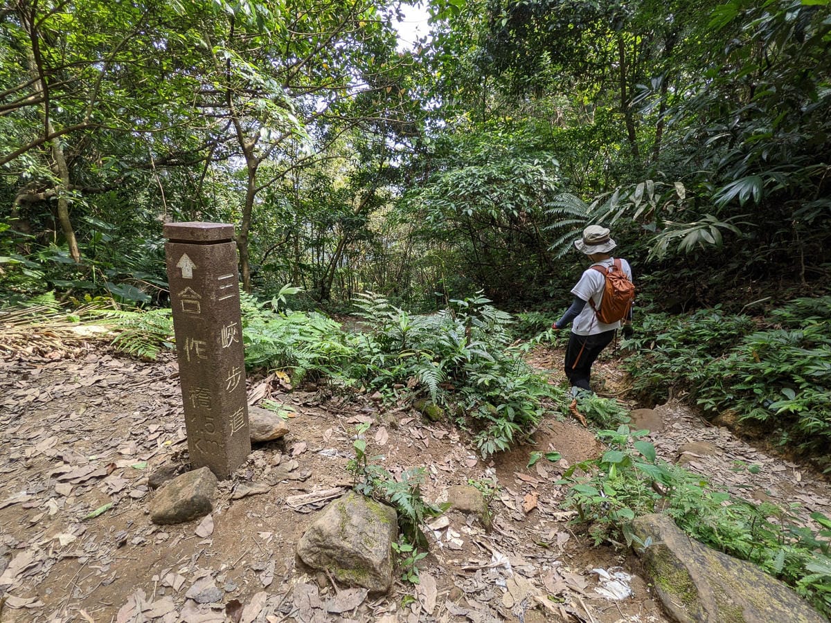 三峽五寮尖 刺激驚險爬山路線 峭壁雄峰拉繩垂降的體力活