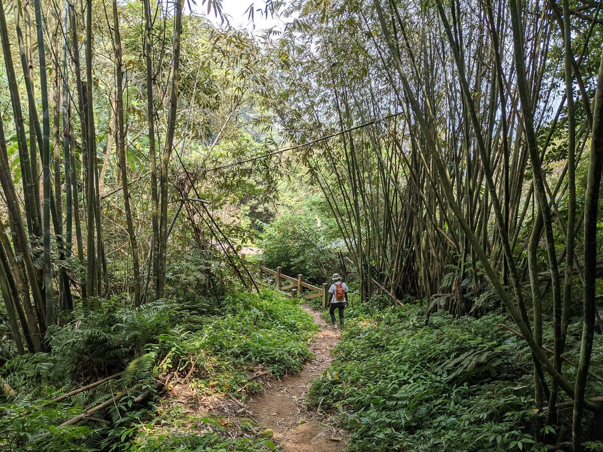 三峽五寮尖 刺激驚險爬山路線 峭壁雄峰拉繩垂降的體力活
