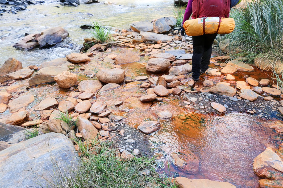 清境餐廳推薦 風知谷野菜館低調的每道菜都好吃記得預約鱒魚