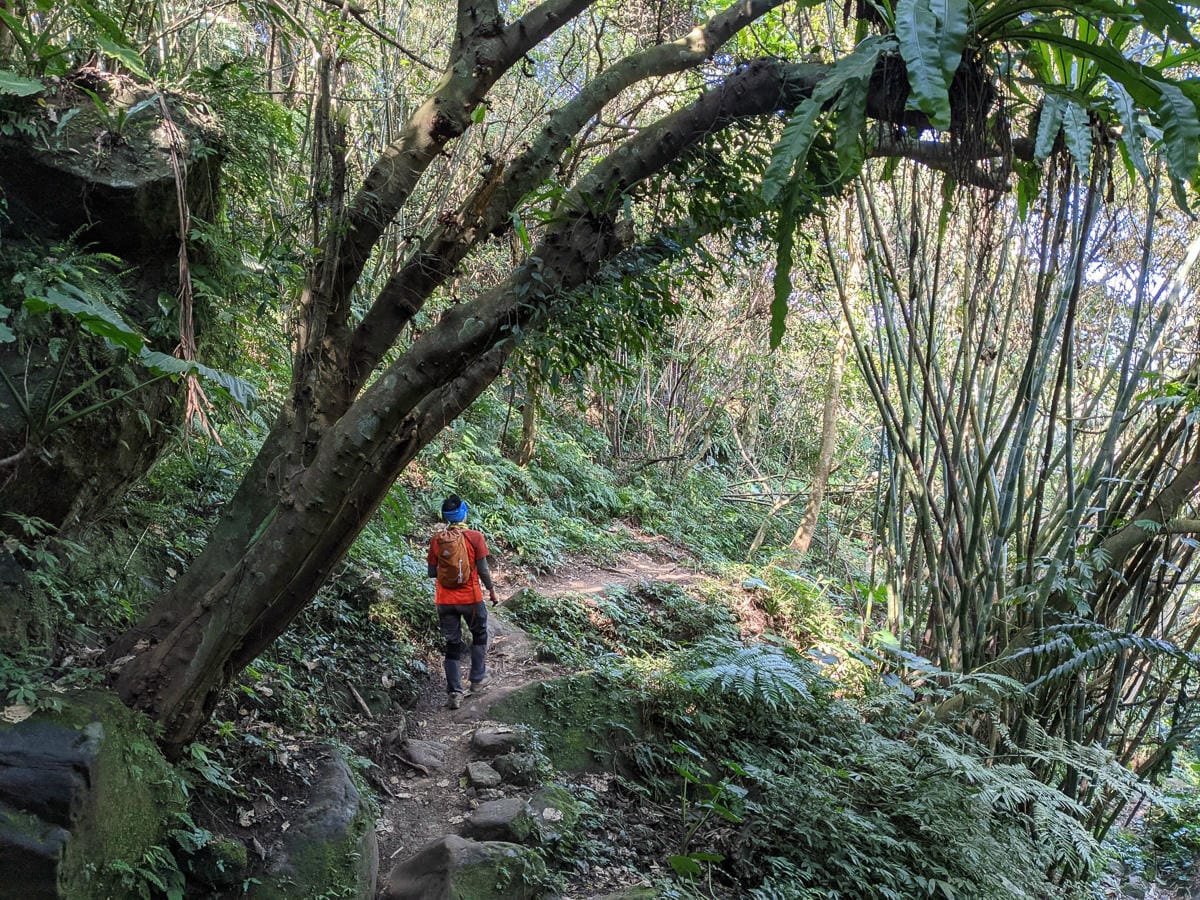 三峽五寮尖松柏園餃子館 下山熱炒小吃平假日都有