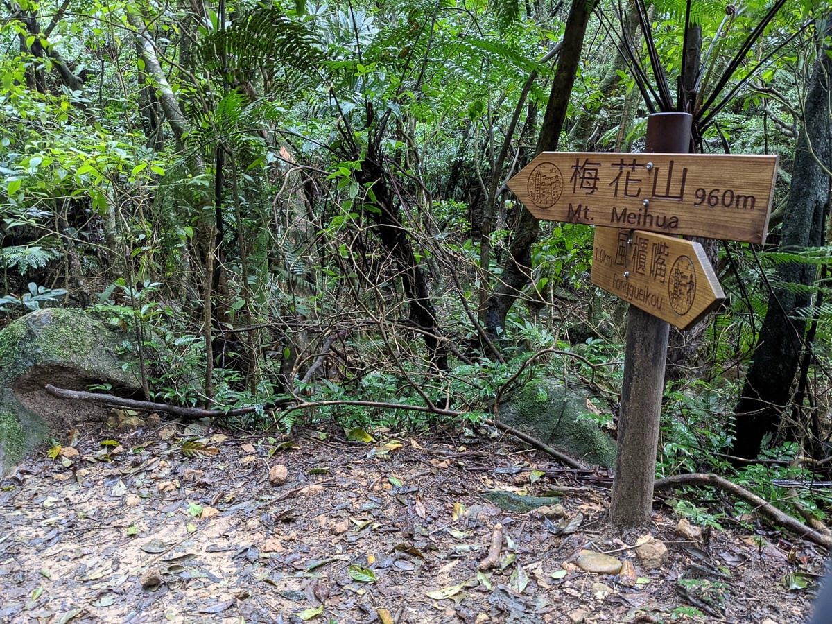 台北大縱走北四段 風櫃嘴到許願步道幸福廣場再接捷運大湖公園