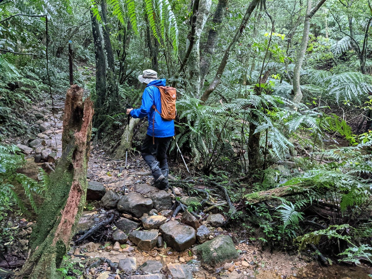 台北大縱走北四段 風櫃嘴到許願步道幸福廣場再接捷運大湖公園