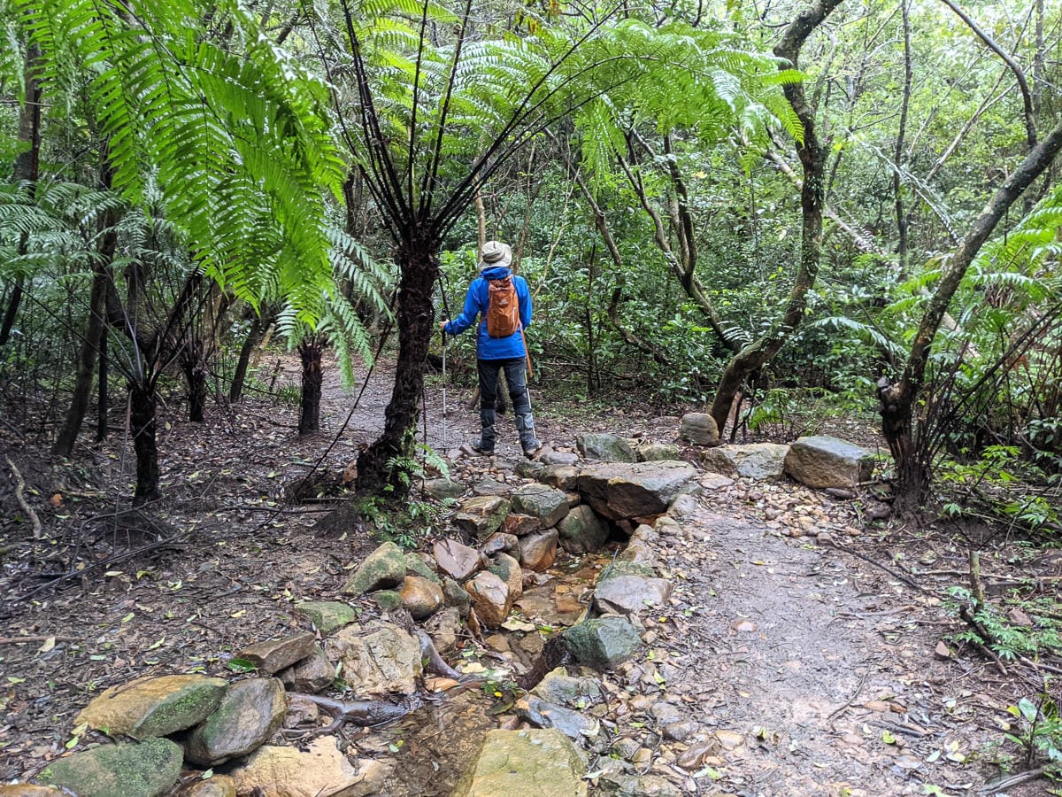 台北大縱走北四段 風櫃嘴到許願步道幸福廣場再接捷運大湖公園