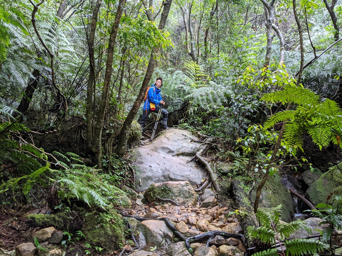 台北大縱走北四段 風櫃嘴到許願步道幸福廣場再接捷運大湖公園