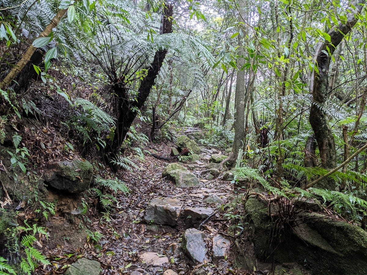 台北大縱走北四段 風櫃嘴到許願步道幸福廣場再接捷運大湖公園