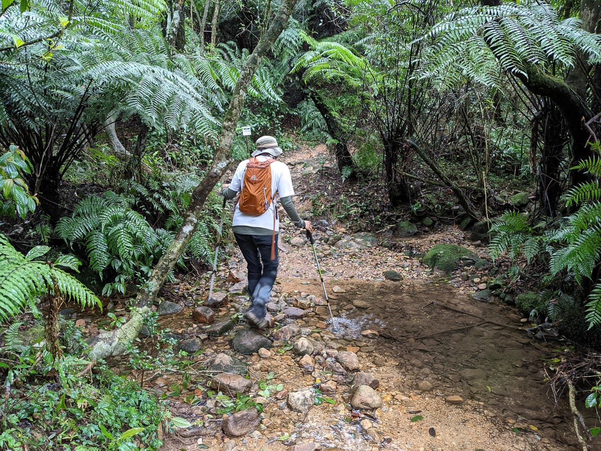 台北大縱走北四段 風櫃嘴到許願步道幸福廣場再接捷運大湖公園