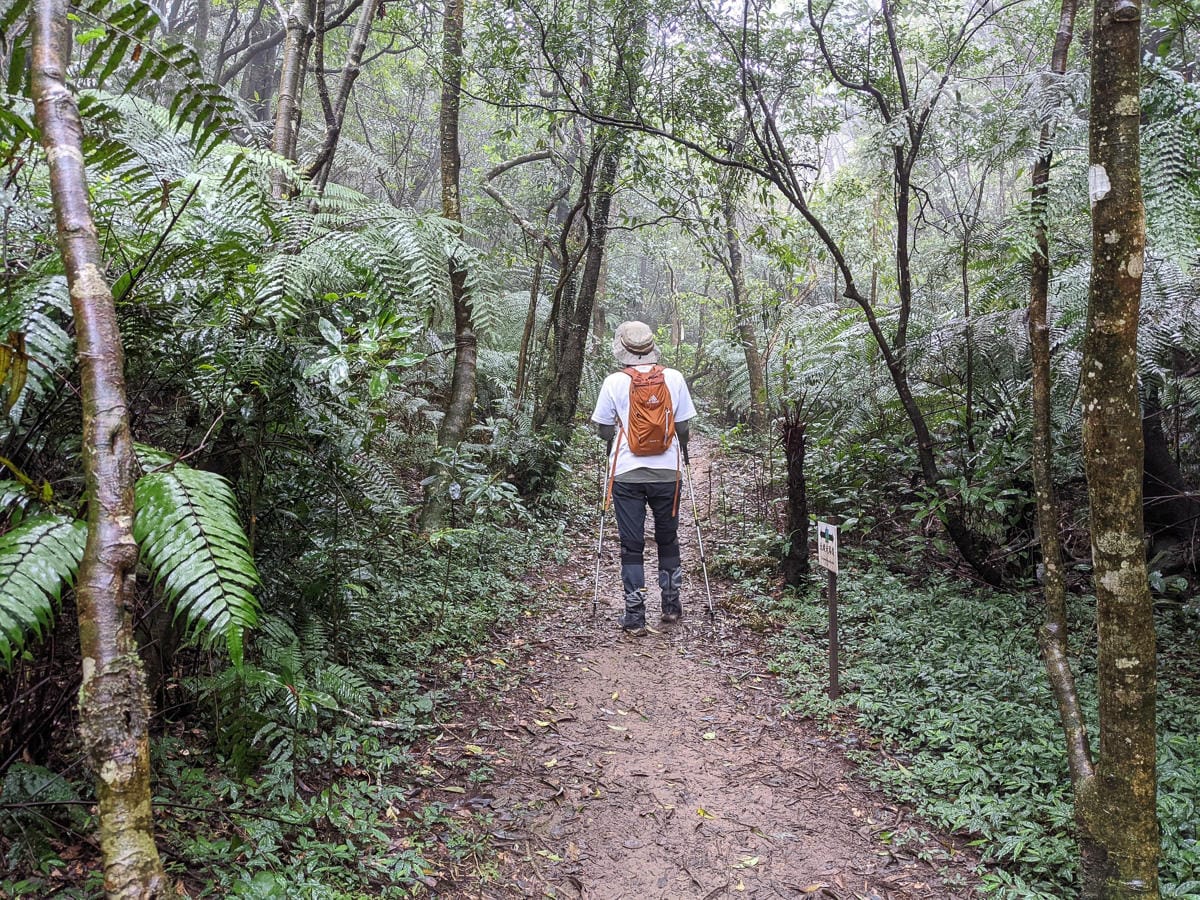 台北大縱走北四段 風櫃嘴到許願步道幸福廣場再接捷運大湖公園